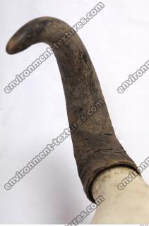 skull antler 0024